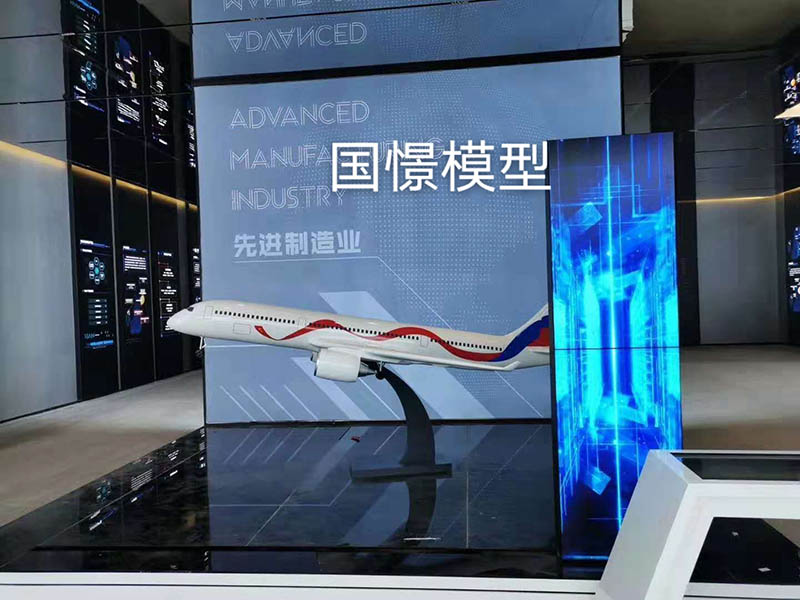 普宁县飞机模型